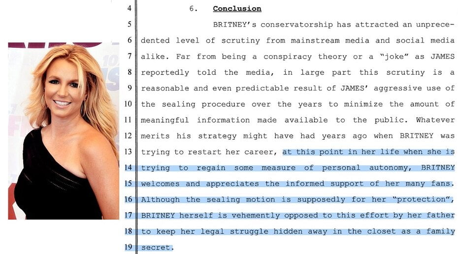 Recent Court Documents filed by Spears’ lawyer, credit @jocascarelli