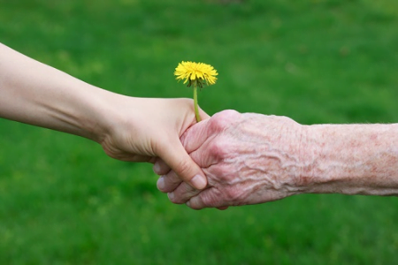 How to Prevent Financial Elder Abuse